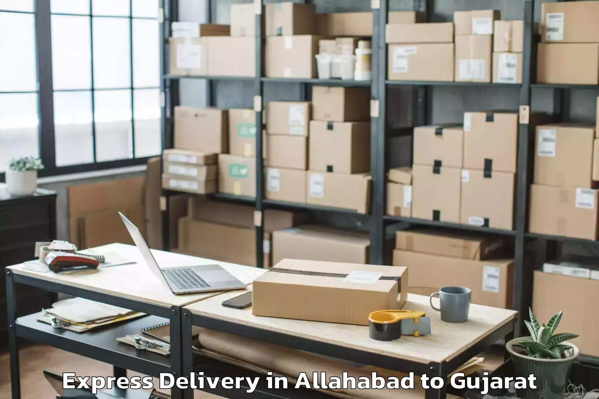 Book Allahabad to Gujarat University Of Transpla Express Delivery